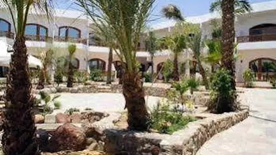 Hotel Planet Oasis | Güney Sina (il) - St. Catherine