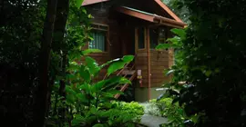 Cala Lodge | Puntarenas (ili) - Monteverde