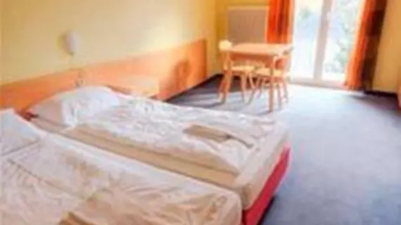 Euro Youth Hotel & Krone | Salzburg (eyalet) - Sankt Johann im Pongau - Bad Gastein