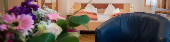 Pension Dr. Geissler | Vienna (eyalet) - Viyana - Innere Stadt