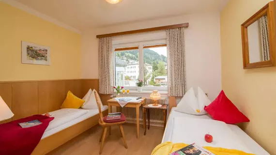 Hotel Pension Hubertus | Salzburg (eyalet) - Zell am See - Zell am See