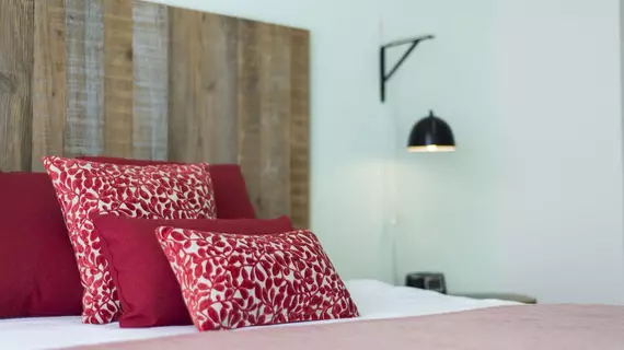 Koox Downtown Family Boutique Hotel | Quintana Roo - Solidaridad - Playa del Carmen