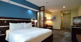 Fairfield Inn and Suites by Marriott Houston The Woodlands South | Teksas - Houston (ve civarı) - Spring