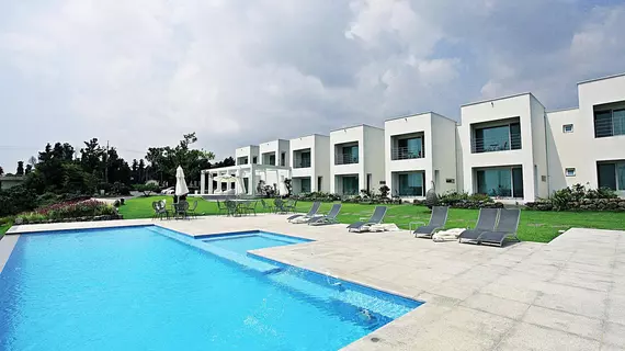 Laotzu Resort Pension | Jeju Adası - Seogwipo - Seogwipo Şehri