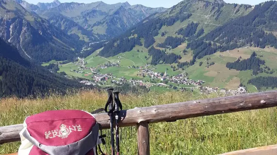 Hotel Alte Krone | Vorarlberg - Mittelberg