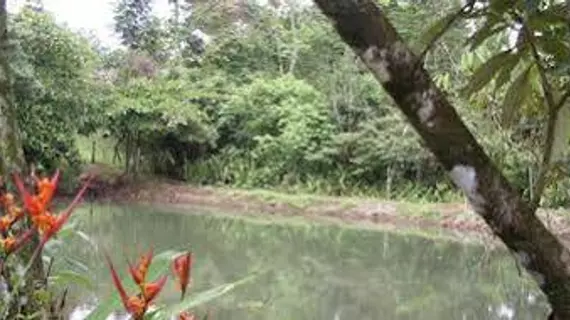 Santa Maria Volcano Lodge | Alajuela (ili) - Guayabo