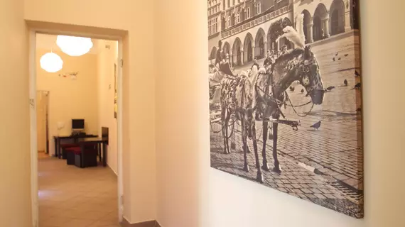 Navigator Apartments | Küçük Polonya Voyvodalığı - Krakow (ve civarı) - Krakow - Stare Miasto