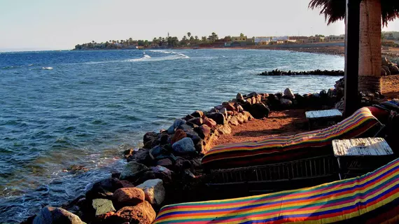 Dahab Bay Hotel | Güney Sina (il) - St. Catherine