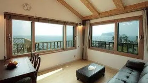 Jeju TOV Pension | Jeju Adası - Seogwipo - Seogwipo Şehri