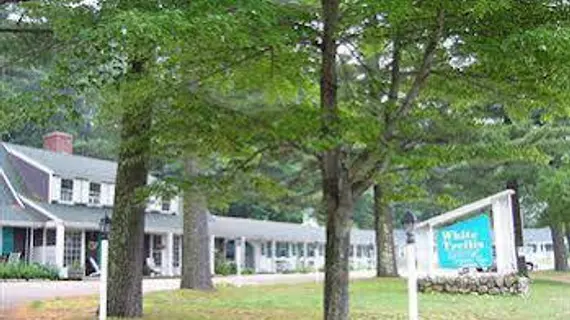 White Trellis Motel | New Hampshire - North Conway