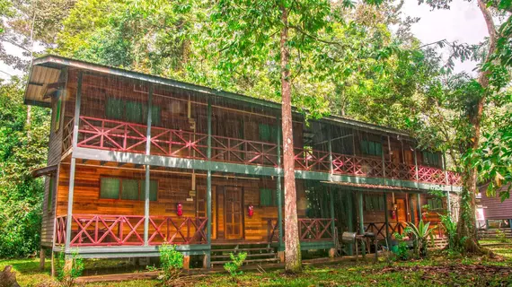 Kinabatangan Jungle Camp | Sabah - Kota Kinabatangan