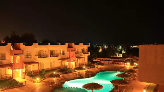 Sheikh Ali Resort | Güney Sina (il) - St. Catherine