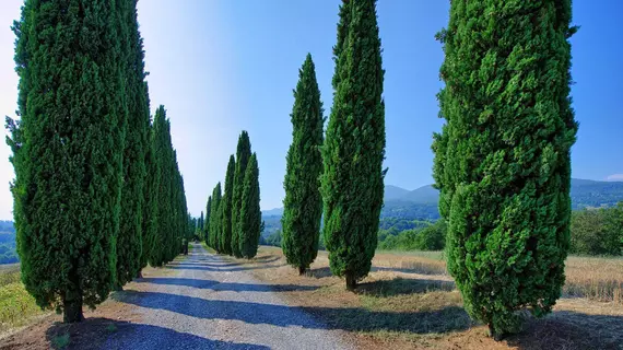 Casale Giulio | Toskana - Siena (vilayet) - Sarteano