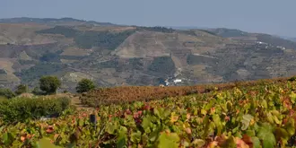 Quinta dos Espinheiros - Casa de Turismo