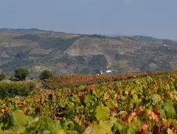 Quinta dos Espinheiros - Casa de Turismo | Norte - Vila Real Bölgesi - Sabrosa