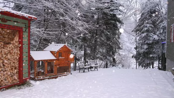 La Chaumiere de l' Anse | Quebec - Les Laurentides Regional County Belediyesi - Tremblant Dağı (ve civarı) - Mont-Tremblant