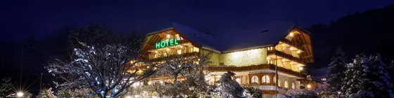 Schwarzwald-Hotel Silberkönig Ringhotel | Baden-Wuerttemberg - Gutach im Breisgau - Bleibach