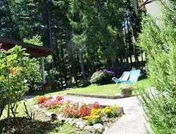 B&B La Pineta | Lombardy - Varese (il) - Brissago-Valtravaglia