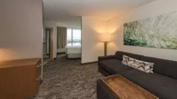 SpringHill Suites Miami Airport South | Florida - Miami (ve civarı) - Miami