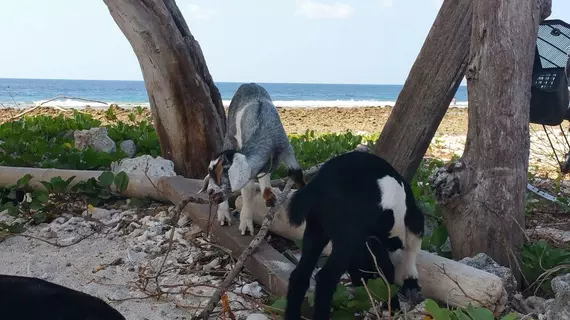 Villas Light House | Batı Nusa Tenggara - Lombok - Gili Trawangan