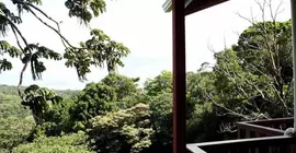 Cala Lodge | Puntarenas (ili) - Monteverde