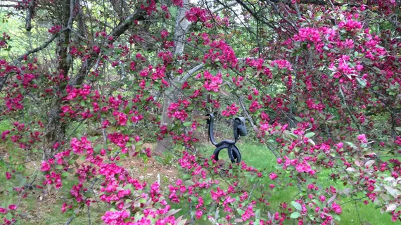 The Garden Bee Bed & Breakfast | Nova Scotia - Centre Rawdon