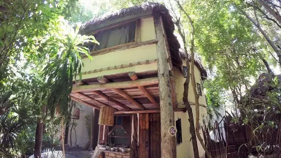 Ecolodge Shalala | Quintana Roo - Solidaridad - Playa del Carmen