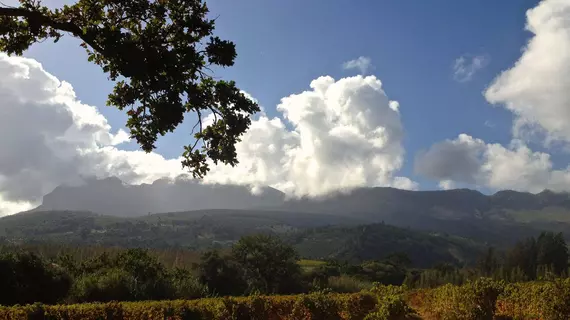 Calais Wine Estate | Western Cape (il) - West Coast DC - Drakenstein - Cape Town (ve civarı) - Paarl