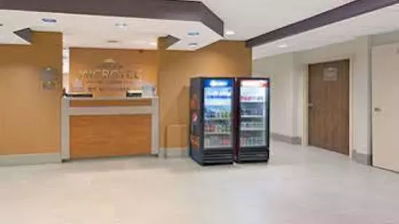 Microtel Inn by Wyndham Denver | Kolorado - Denver (ve civarı) - Denver