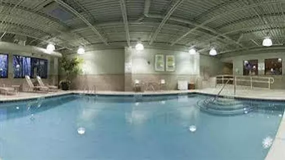 Holiday Inn Express Hotel & Suites - Novi | Michigan - Detroit (ve civarı) - Novi