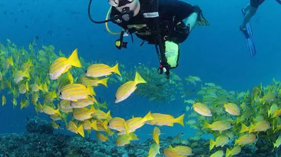 Venturo | Maldivler - Kaafu Atoll - Maafushi