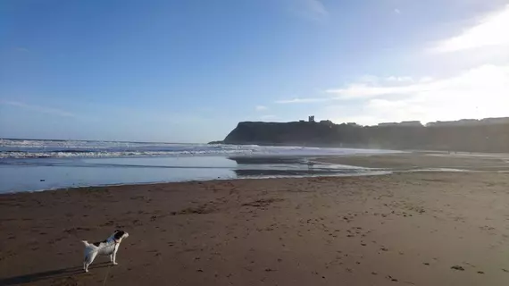 The Beaches Guest House | Kuzey Yorkshire (kontluk) - Scarborough