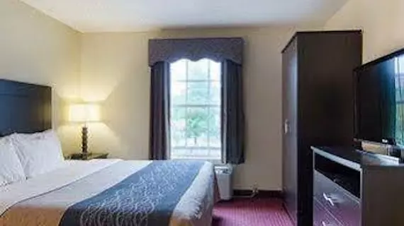 Comfort Inn West Little Rock | Arkansas - Little Rock (ve civarı) - Little Rock