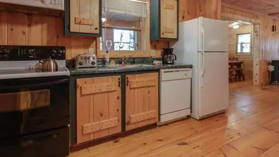 Cherokee Point Cabin | Georgia - Blue Ridge (ve civarı) - Ellijay