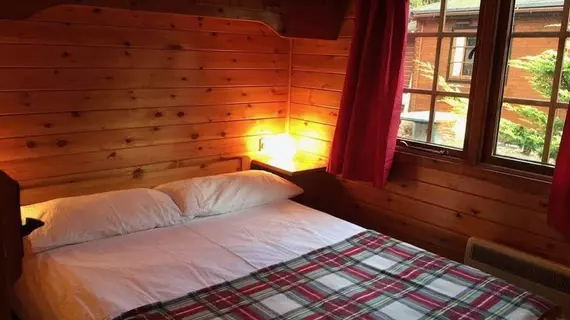 Lurchers Cabin Aviemore | İskoçya - Scottish Highlands - Aviemore