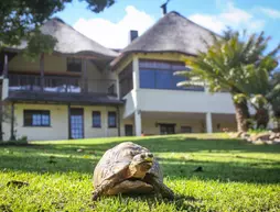 Winelands Villa Guesthouse | Western Cape (il) - West Coast DC - Drakenstein - Cape Town (ve civarı) - Cape Town - Somerset West