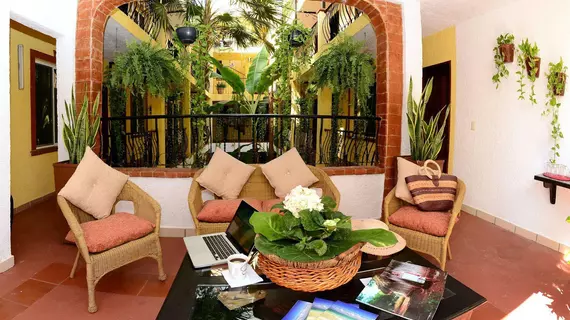 Hacienda Mariposa Boutique | Quintana Roo - Solidaridad - Playa del Carmen