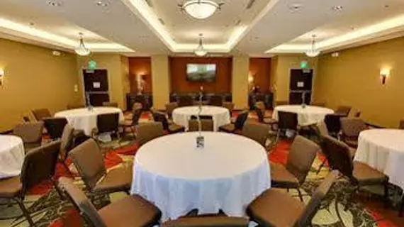 Holiday Inn Express & Suites Plymouth - Ann Arbor Area | Michigan - Detroit (ve civarı) - Plymouth