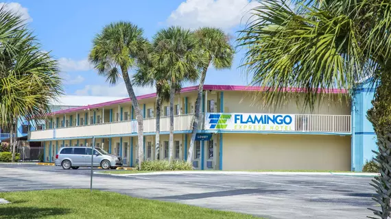 Flamingo Express | Florida