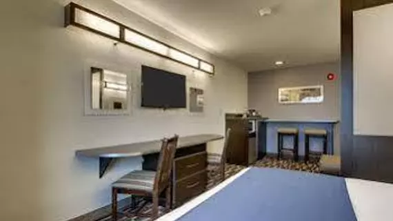 Microtel Inn & Suites by Wyndham Tuscaloosa | Alabama - Tuscaloosa (ve civarı) - Tuscaloosa