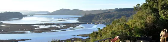 Phantom Forest Eco Reserve | Western Cape (il) - Knysna