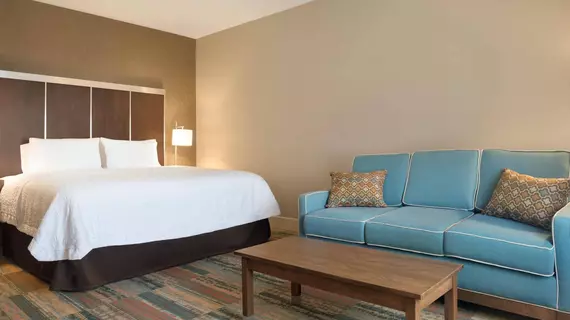 Hampton Inn by Hilton Elko | Nevada - Elko (ve civarı) - Elko