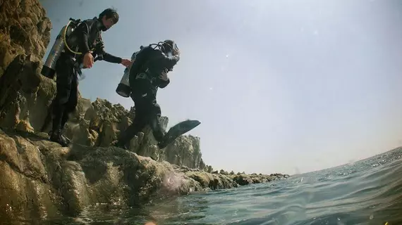 Ocean Tree | Jeju Adası - Seogwipo - Seogwipo Şehri