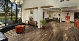 Anaheim Desert Inn & Suites | Kaliforniya - Orange County - Anaheim - Anaheim Resort