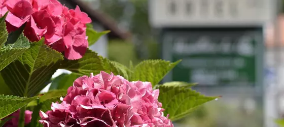 Hostellerie du Parc | Nouvelle-Aquitaine - Pyrenees-Atlantiques - Cambo-les-Bains