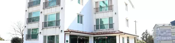 Yilin Pension | Jeju Adası - Seogwipo - Seogwipo Şehri