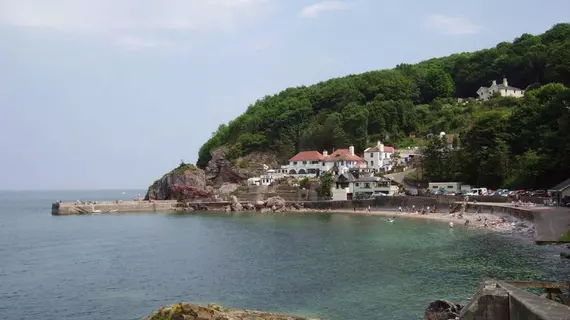 Babbacombe Palms | Torquay - Babbacombe