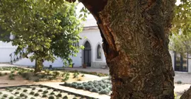 Casa Palmela | Alentejo - Setubal (bölge) - Setubal