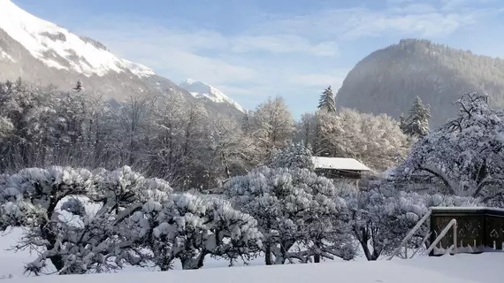 Hôtel Les Fleurs | Auvergne-Rhone-Alpes - Haute-Savoie (bölge) - Morzine