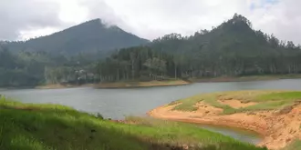 White House Adamspeak